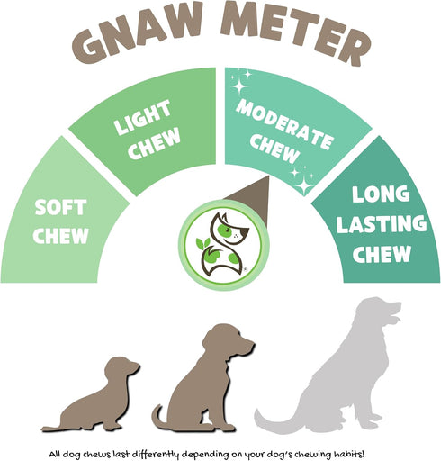 Nature Gnaws Beef Gullet Sticks for Dogs, 5-6" (15 Count), Natural Beef Jerky Stick Dog Chew Treats, Rawhide Free