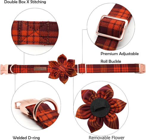 Lionheart Glory Dog Collar with Flower, Fall Halloween Plaid Dog Collar, Adjustable for Small Dogs