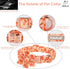 Fall Girl Dog Collar - Orange Maple Leafs Rugby Floral Collar with Safety Metal Buckle for Small, Medium, Large Dogs