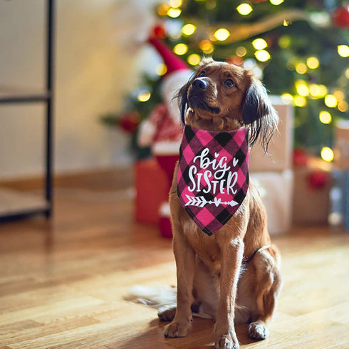 STMK Big Brother Big Sister Dog Bandana, Pregnancy Announcement Plaid Gender Reveal Photo Prop for Dogs