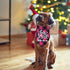 STMK Big Sister Plaid Dog Bandana, Pregnancy Announcement Plaid Scarf, Gender Reveal Photo Prop, Pet Scarves (Pink)