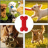 Generic 11x3x4cm, Dog Chew Bone Toy, Teeth Cleaning Support, Pet Toys with Bone Shapes, Grinding Teeth Sticks