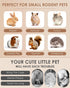 35PCS Chinchilla Bissap Rabbit Chew Sticks, Natural Papaya Stems Bunny Chews Treats for Rabbit Hamster Guinea Pig Small