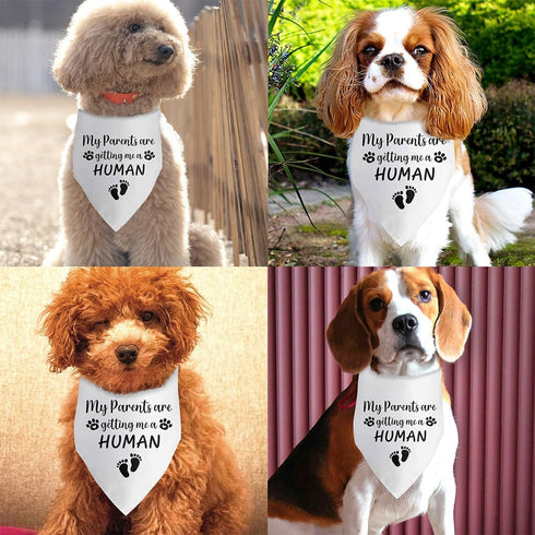 My Parents are Getting Me a Human Pregnancy Announcement Dog Bandana Dog Baby Announcement Gender Reveal Announcement