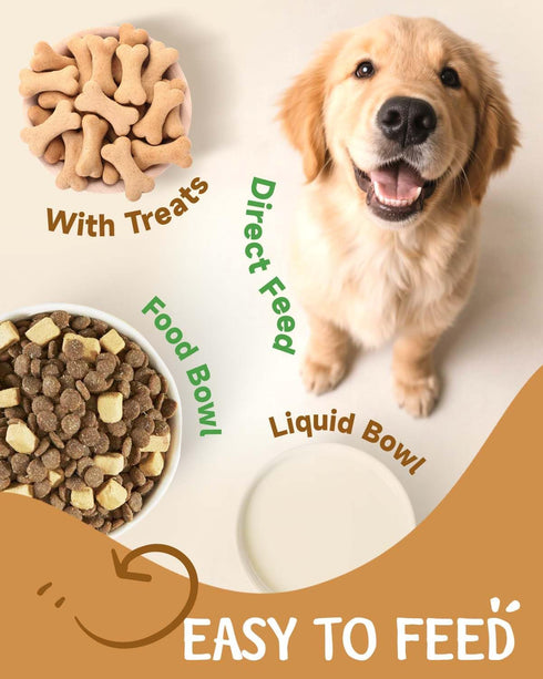 9 1 Immune in Mushroom Supplement for Dogs - Turkey Tail Mushroom for Dogs - Dog Lumps and Bumps Treatment - Digestive
