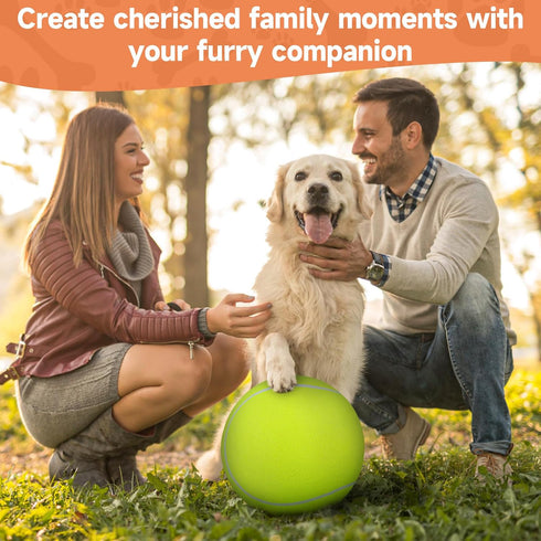 QDAN Giant Large Tennis Ball for Dogs: 9.5" Yellow Dog Tennis Ball for Outdoor Play, Big Dog Toy