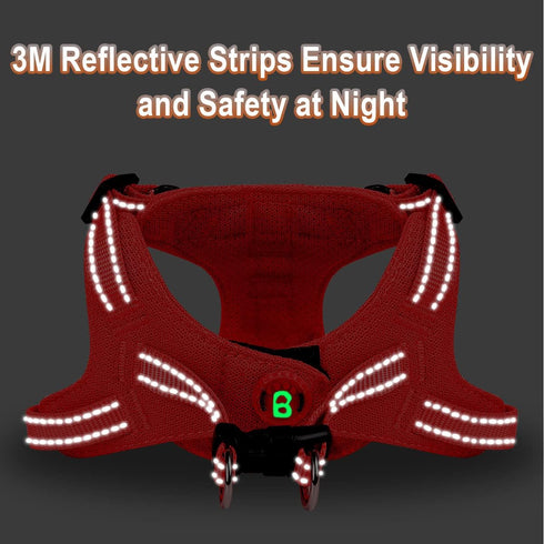 Dog Harness Step in Vest, Reflective Adjustable No Pull Harness for Small and Medium Dogs, Cats