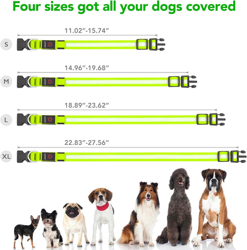 LED Dog Collar, Light Up Adjustable USB Rechargeable Safety Glowing Collars for Dogs (Medium, Green)