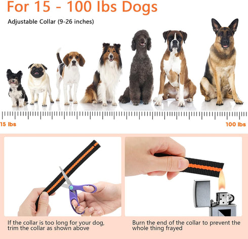 Dog Training Collar for 2 Dogs - 100% Waterproof Shock Collar with Remote Range 1300ft, 3 Training Modes