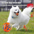 Dog Balls for Aggressive Chewers, Indestructible Floating Bouncy Balls, Lightweight Chew Balls, Fetch Balls for Large &