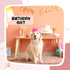 LEIFIDE Dog Cat Chain Collar, Diamond Collar 12 mm Wide for Cat Metal Small Dog, Pet Crystal Necklace Accessories (Rose