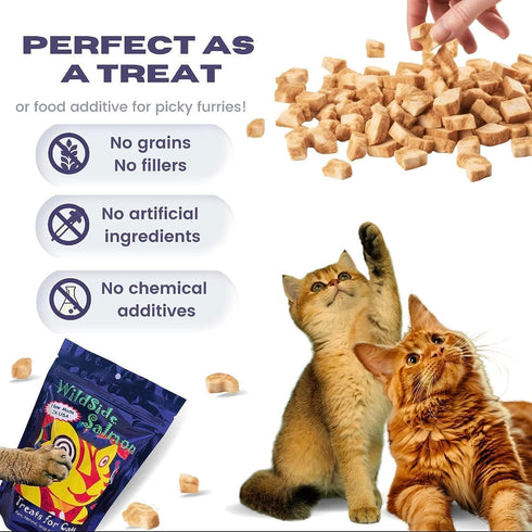WildSide Salmon Freeze Dried Cat Treats, Healthy Organic Cat Food, 3 Ounces (3 Pack)