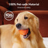 IPX7 Cheerble Smart Interactive Dog Toy, Wicked Ball AIR, Automatic Moving, Bouncing, Rotating, Waterproof Rating