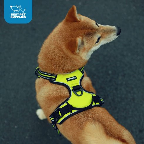 Voyager No Pull Dog Harness for Extra Small Dogs, Adjustable Soft Pet Harness with Dual Leash Attachments, Turquoise