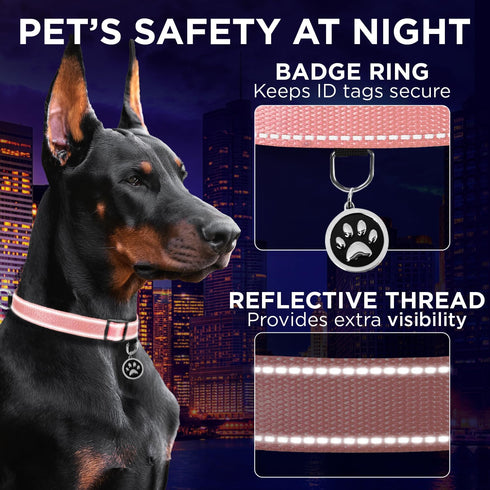 TECEUM Reflective Dog Collar – Pink – M – Basic Nylon Pet Collar, Quick Release Buckle