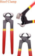 8 inch 7 Farrier Tool Kits Piece Mini Rasp Hoof File Goat Pig Equine Metal Shears Professional Farriers Hoof Nipper