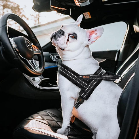 Didog Soft Flannel Padded Dog Vest Harness, No Pull/Quick Fit Reflective Strap, Easy for Training Walking (XXS: Chest