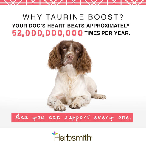 Herbsmith Taurine Boost Supplement for Dogs and Cats - Cardiac Support with CoQ10, Taurine, L-Carnitine - 75g
