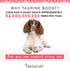 Herbsmith Taurine Boost Supplement for Dogs and Cats - Cardiac Support with CoQ10, Taurine, L-Carnitine - 75g