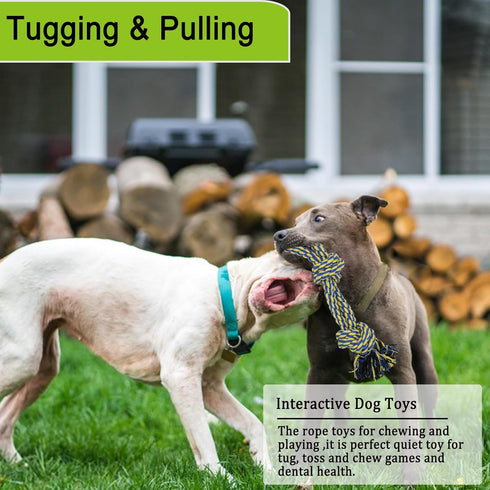 Dog Bungee Tug Toy, Durable Interactive Rope Toy Hanging from Tree for Small, Medium, Large Dogs, Outdoor Tug of War