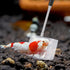 4 Pieces Extendable Handle Shrimp Net, Stainless Steel Small Fishing Net for Aquarium Fish Tank Pond