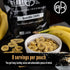 Pack 48 (6 Ready Hour Banana Chips Case Emergency Snacks, Dehydrated Fruit, Long-Term Storage, Crunchy Banana, Survival