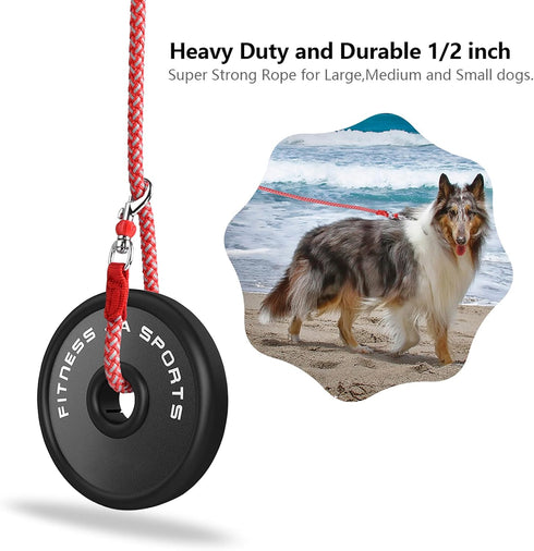 Dog Training Leash for Small to Medium Dogs - Chew Proof and Reflective Rope Dog Lead