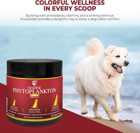 Mr. Ros Marine Phytoplankton: Supercharge Your Dog's Health (3.5 oz / 100 g), Essential Nutrients for Shiny Coat,