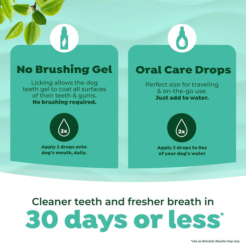 TropiClean Dog Dental Hygiene Fresh Breath No Brush Total Care Kit | Easy Teeth Cleaning Water Additive