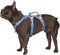 Escape Proof Harness | No Slip Dog Harness | Fully Reflective with Handle, Breathable, Adjustable Vest for Medium Dogs