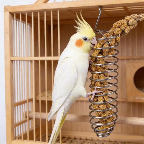 Yeqeyiq Millet Holder for Bird Cage, Bird Foraging Toy Feeder for Parrots Parakeet Cockatiel, Stainless Steel Bird