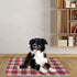 2 Pack 36"x 48" KOOLTAIL Reusable Puppy Pads, Washable Pee Pads for Dogs-Waterproof Non-Slip Plaid Puppy Training Pads