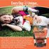 All Natural Dog Treats - Healthy Skin & Coat Salmon Treats - Dehydrated, Crunchy, Human-Grade, 8oz, Pack of 1
