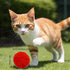 DJRDym 20 Pack 1.8 Inch Interactive Pet Play Pompoms - Soft, Non-Toxic Toy Balls for Cats & Dogs, Lightweight Balls