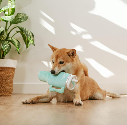 Nestpark Tumbler Cup Funny Dog Toy - Parody Plush Squeaky Crinkle Dog Toy (Mint Green)