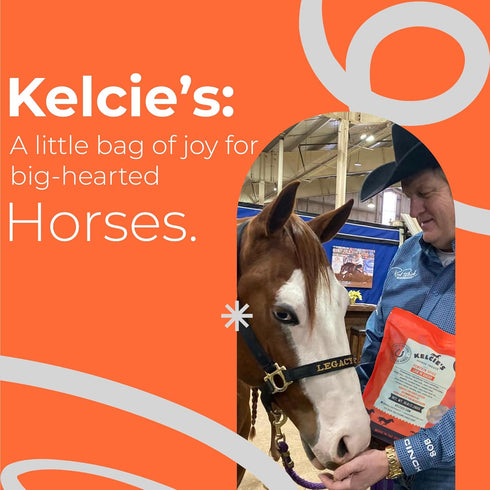 5 (1 Pack) Kelcies Pumpkin Spice Horses Treats - Low Sugar, Starch, and Carbohydrates | Healthy Treats for Horse