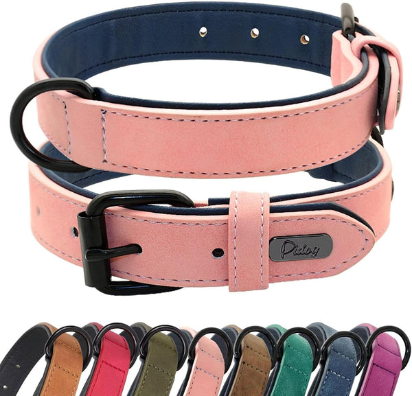 Didog Soft Padded Leather Dog Collar, Heavy Duty Adjustable Leather Collar with Rust-Proof Metal Buckle for Small