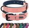 Didog Soft Padded Leather Dog Collar, Heavy Duty Adjustable Leather Collar with Rust-Proof Metal Buckle for Small