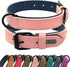 Didog Soft Padded Leather Dog Collar, Heavy Duty Adjustable Leather Collar with Rust-Proof Metal Buckle for Small