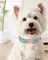 Cute Flamingo Summer Dog Collar, Unique Style Paws Green Adjustable Collar for Small Medium Large Dogs