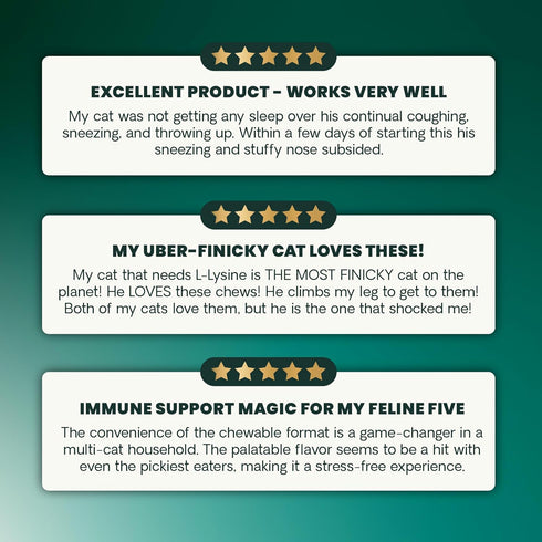Immunity 250 Immune 120 Count VetriScience Lysine Health Chews, mg Lysine Plus Supplement for Cats and Kittens