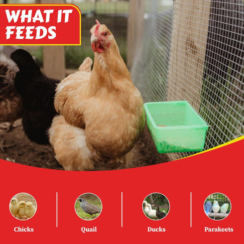 27oz My Favorite Chicken Chicken Cage Cup Hanging Chicken Waterer & Feeder for Chick, Duck, Quail, Parakeet Versatile