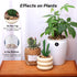 5lb Pea Gravel for Plants, 1/5 Inch Small Pebbles for Aquarium, Fish Tank, Terrarium, Succulent, Mixed Color