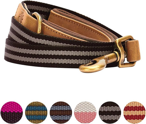 Blueberry Pet 6 ft x 3/4" Polyester Fabric Webbing and Soft Genuine Leather Dog Leash, Chocolate and Taupe