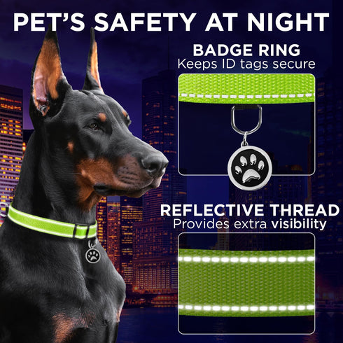 TECEUM Reflective Pet Collar – Basic Nylon Dog Collar – Quick Release Buckle – Acid Green – S – Extra Soft Padding –