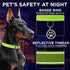 TECEUM Reflective Pet Collar – Basic Nylon Dog Collar – Quick Release Buckle – Acid Green – S – Extra Soft Padding –