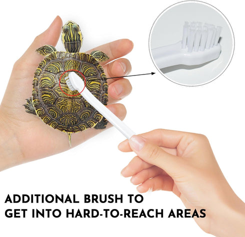 Turtle Brush with Suction Cup, Three High Suction Power Suction Cup Turtle Shell Cleaning Brush, Aquatic Turtle Tank