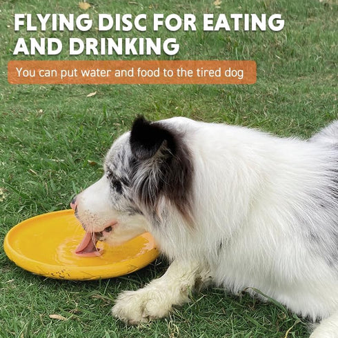 LaRoo 24cm Dog Flying Disc, Bite Resistant Floating Interactive Chew Toy for Medium Large Dogs