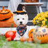 80 Set Silkfly Pieces Halloween Dog Bandanas Bulk for Dogs Bibs Triangle Scarf Dog Kerchief for Small Medium Large Pet