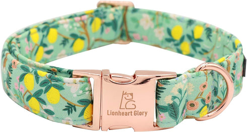 Lionheart Glory Premium Floral Dog Collar, Adjustable Soft Collars for X-Small Small Medium Large Dogs